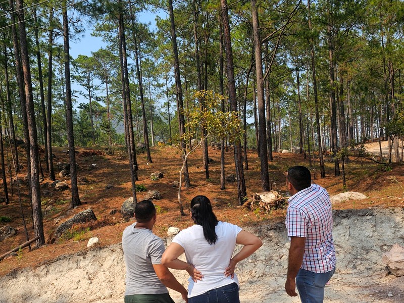 Lote disponible en venta — terrenos Valle de Ángeles Francisco Morazán